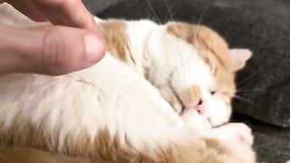 Repressing cute aggression