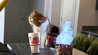 Straw