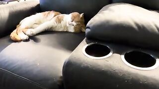 Such a plush