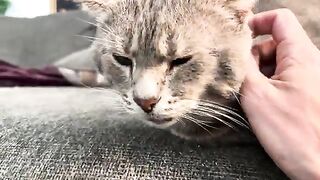 The ferocious one