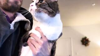 Kittles
