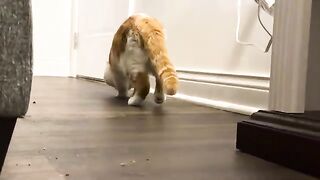 Mopped there too