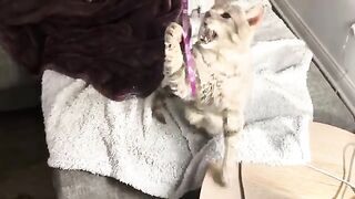 Playful Jaden