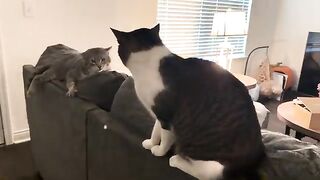 TK pretending to be a threat