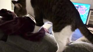 The baby and the cat butt