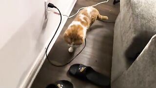 Dropped it