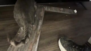 Inspection