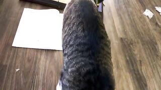 Not helpful