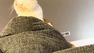 Head grabbing.