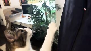 These needy boys
