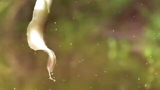 شکارچی خود شکار