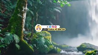 Surah Al takasur beautiful Quran Recitation