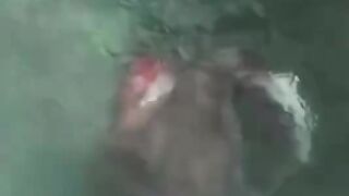 نگاه کن