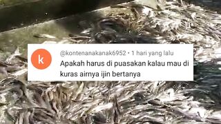 WAJIB lakukan ini sebelum GANTI air kolam, PANEN dan SORTIR lele