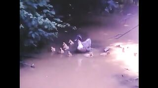 Fazilet  Hülya Avşar Eski Türk Dram Filmi