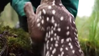 Woman Saves Baby Deer From Mud  Emotional Wildlife Rescue (Realistic 4K)