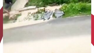Longsor Susulan Terjadi Saat Evakuasi Korban di Palembayan Agam, Petugas Terancam Bahaya