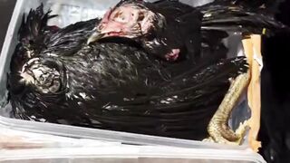 Teror kembali menimpa content creator DJ Donny. S