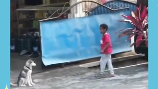 Dia Menyihir,Tapi Dia Masih Ragu Dengan sihirnya