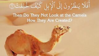 Surah Al-Gashia