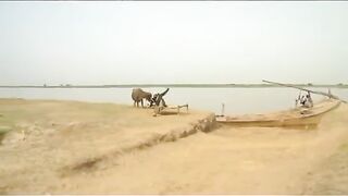 Heer ranjha