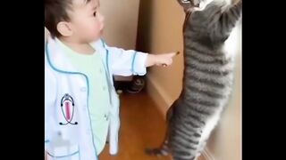 Cute Cat and Beautiful Beach Moments   . Relaxing Beach Time with a Cute Cat   . First Time Cat at the Beach   . Cute Cat Playing Near the Sea