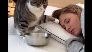 LOL  Viral  Too Funny  Trending  Comedy Scene   Funny AF  MustWatch  Laugh Mode On
