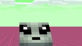CRAZY MINECRAFT