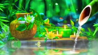 Soothing Relaxation Music Relaxing Piano Music Sleep Music Water Sounds Relax Music Meditation