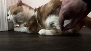 I got your buttcheeks