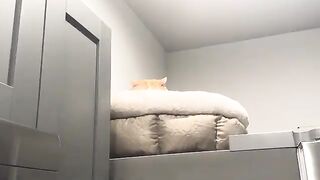Unexpected places