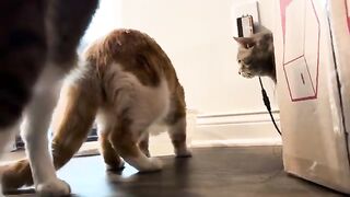 A respectful encounter at the watering hole