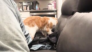 Snuggletime