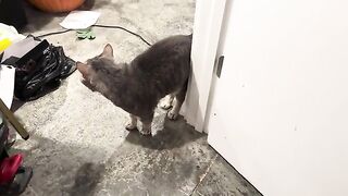 Forgetting to flush