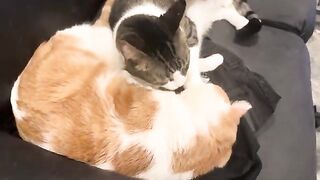 Ignoring level max