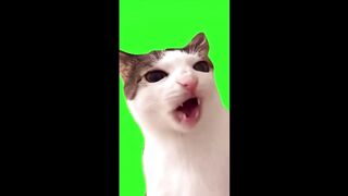 ViralGreenScreenMemeTemplatesforVideo