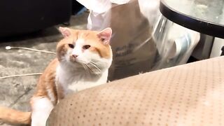 Staring off to the side