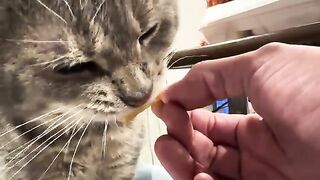 Eating a french fry like corn on the cob like a sociopath