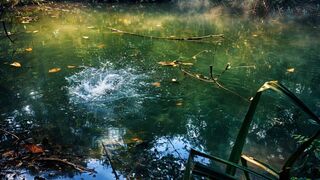 When Patience Finally Pays Off