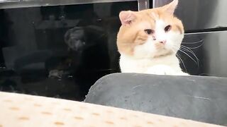 You get the head