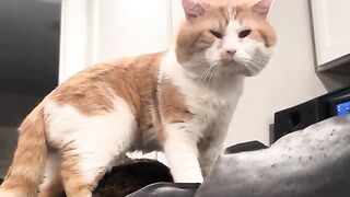 Butt toucher at it again