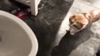 Attempting to potty train Adam