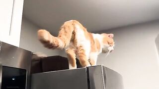 Fridge Keeper