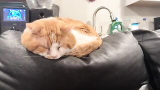 Waking the baby