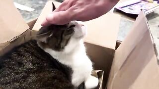 Jadens unbox