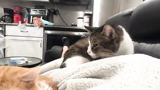 The best part of waking up on the couch