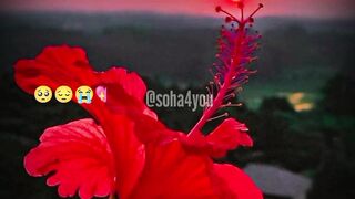 Dil ko sukoon dene wali tilawat).