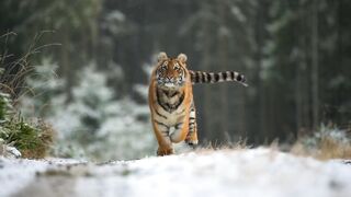 Majestic beauty of nature