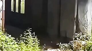 When confidence exceeds physics