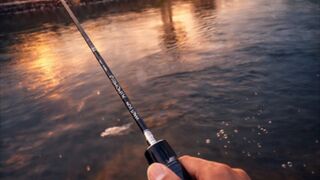 Fishing Is Not About Speed, Its About Patience